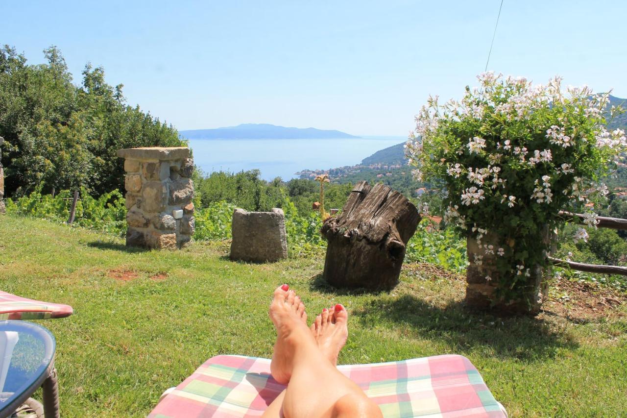Sea View Apartment With Garden Near Opatija Veprinac Luaran gambar